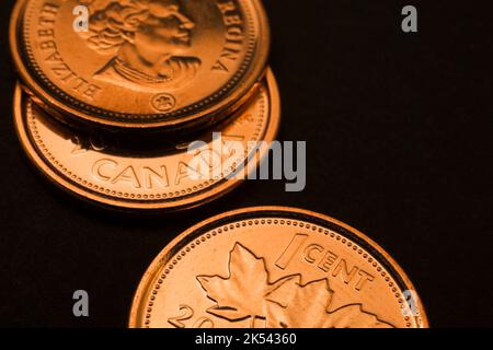 Kanadische Pennies auf schwarzem Hintergrund. Stockfoto