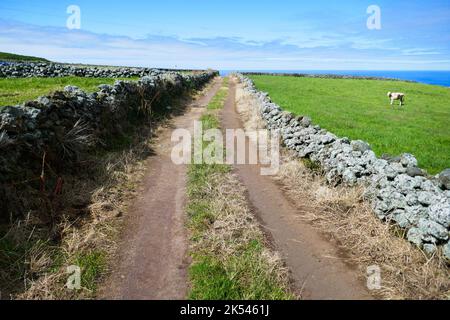 Die grüne Landschaft der Insel Graciosa, Azoren Stockfoto