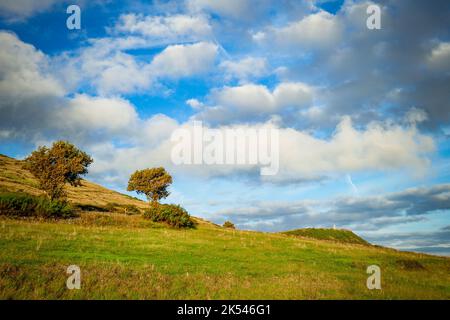 Die grüne Landschaft der Insel Graciosa, Azoren Stockfoto