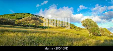 Die grüne Landschaft der Insel Graciosa, Azoren Stockfoto