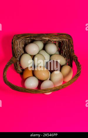 Eier aus biologischem Anbau Stockfoto