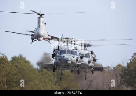 Zwei Sea Hawk-Hubschrauber der MH-60S, die dem Hubschrauber Sea Combat Squadrong (HSC) 22, den „Sea Knights“, Und ein unbemanntes Flugfahrzeug des Fire Scout MQ-8B führt vor dem Start eines auf-Trainingsfluges (Airborne Use of Force) auf dem Mars UAS-Flugplatz des Regionalflughafens Mid-Atlantic im Wallops Flight Facility der NASA Goddard Hover-Checks durch. Die MARS UAS-Start- und Landebahn bot die richtige Infrastruktur, das richtige Briefing und die richtigen Wartungseinrichtungen für die beiden MH-60S-Hubschrauber von HSC-22 und MQ-8B (US-Foto von Chris Perry) Stockfoto