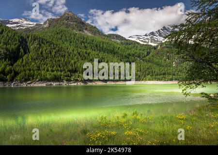 Alpensee und dramatische Landschaft im Frühling, Gran Paradiso alpen, Italien Stockfoto