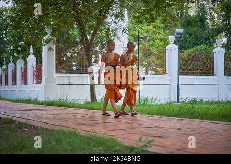 Junge Novizenmönche gehen und plaudern, aufgenommen in Ayutthaya, Thailand, im Mai 2022. Stockfoto