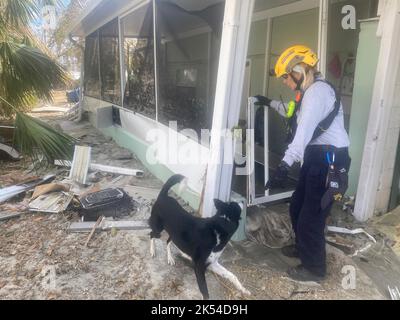 Fort Myers, Usa. 02. Oktober 2022. FEMA Urban Search and Rescue Pennsylvania Task Force 1 Teammitglieder nutzen Sniffer Dogs, um nach dem 3. Oktober 2022 in Fort Myers, Florida, Trümmer und zerstörte Gebäude nach Überlebenden zu durchsuchen. Quelle: Jocelyn Augustino/FEMA/Alamy Live News Stockfoto