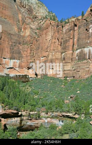 Zion National Park im Bundesstaat Utah, USA Stockfoto