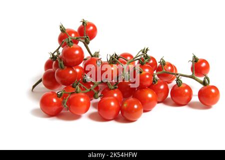 Wild Florida Everglades Kirschtomaten isoliert auf Weiß Stockfoto