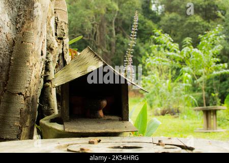 Das Geisterhaus liegt mitten im Wald. Mit der Natur Stockfoto