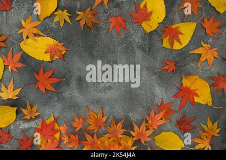 Rahmen aus Herbst-Ahornblättern, Walnüsse auf dunklem Hintergrund. Herbstsaison. Flach liegend, Draufsicht Stockfoto