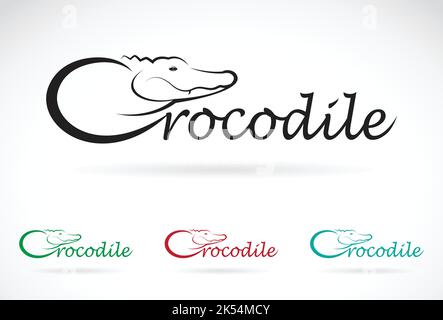 Vektor-Design Krokodil ist Text auf weißem Hintergrund. Vektor. Leicht editierbare Vektorgrafik mit Ebenen. Wilde Tiere. Stock Vektor