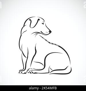 Vektor von Hund labrador auf weißem Hintergrund. Vektor. Leicht editierbare Vektorgrafik mit Ebenen. Tiere. Stock Vektor