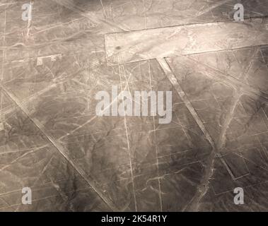 Antenne Flugzeug Panoramablick nach Nazca geoglyph Linien aka Condor, ICA-Region, Peru Stockfoto