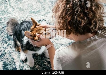 Lockige blonde Frau mit Hund Corgi sitzen, entspannen und spielen auf dem Boden in komfortablen Wohnzimmer auf Teppich, Blick von hinten. Aktiv und Stockfoto