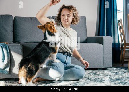 Lockig behaarte, fröhliche Barfußfrau mit Hundehorgi. Gehorsam Training, Fütterung von Haustier, sitzen, entspannen und spielen auf dem Boden in komfortabel Stockfoto