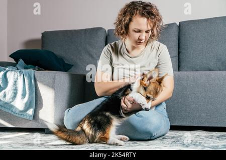 Lockig behaarte, fröhliche Barfußfrau mit Hundehorgi. Gehorsam Training, Fütterung von Haustier, sitzen, entspannen und spielen auf dem Boden in komfortabel Stockfoto