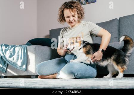 Lockig behaarte, fröhliche Barfußfrau mit Hundehorgi. Gehorsam Training, Fütterung von Haustier, sitzen, entspannen und spielen auf dem Boden in komfortabel Stockfoto