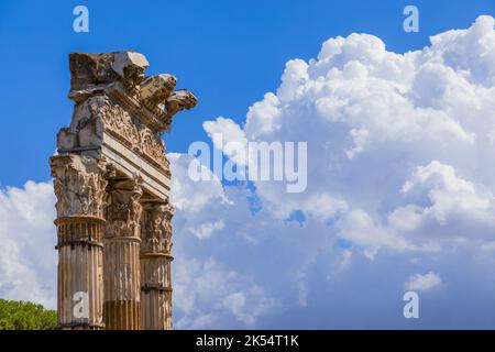 Tempel der Venus Genetrix im Forum des Caesar, Rom. Stockfoto