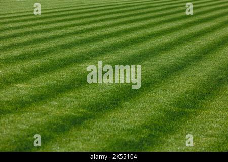 Die Textur von perfektem Fußballrasen. Fußballplatz Stockfoto