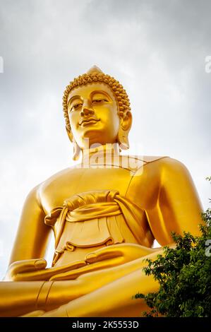 Der riesige goldene Buddha ragt groß über der Stadt Bangkok Thailand im Wat Paknam. Tempel voller Name; Wat Pak Nam Phasi Cheroen. Stockfoto