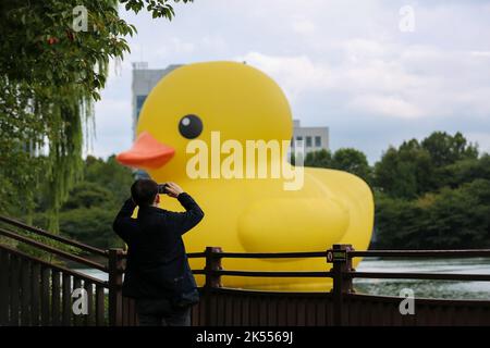 Seoul, Südkorea. 6. Oktober 2022. Ein Mann fotografiert die Gummiente, die vom niederländischen Künstler Florentijn Hofman am Seokchon-See in Seoul, Südkorea, entworfen wurde, am 6. Oktober 2022. Quelle: Wang Yiliang/Xinhua/Alamy Live News Stockfoto