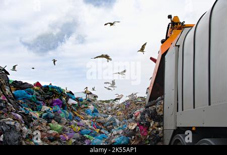 Deponie verschmutzt die Umwelt. Müllwagen. Vögel fliegen über Deponien Stockfoto