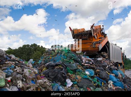 Deponie verschmutzt die Umwelt. Müllwagen. Vögel fliegen über Deponien Stockfoto