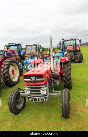 Brydkirk, Schottland - 04. September 2022: Eine alte Massey Ferguson 135 aus dem Jahr 1970 parkte und wartete auf die Teilnahme an einem lokalen Spendenlauf Stockfoto