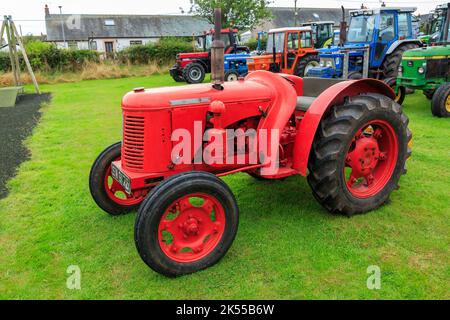 Brydkirk, Schottland - 04. September 2022: Ein 1950s-jähriger David Brown 30C parkte auf und wartete auf die Teilnahme an einem lokalen Spendenlauf Stockfoto