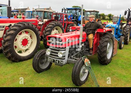 Brydkirk, Schottland - 04. September 2022: Eine alte Massey Ferguson 135 aus dem Jahr 1970 mit Gentleman, der auf dem Fahrersitz saß, parkte und darauf wartete, daran teilzunehmen Stockfoto