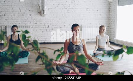 Junge attraktive Yogaschülerinnen meditieren am Ende der Übung in Lotusstellung auf Matten im schönen Lichtstudio. Entspannung Ruhe Balance Konzept. Stockfoto