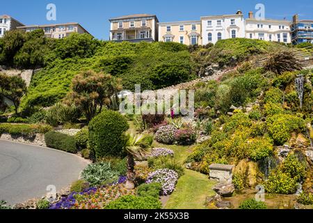 Cascade Gardens, Ventnor, Isle of Wight, Großbritannien Stockfoto