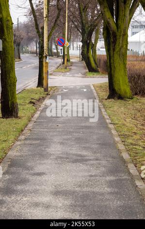 Ein Radweg in der Stadt unter den Bäumen an einem düsteren Herbsttag. Stockfoto