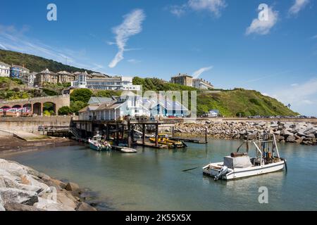 Ventnor Haven Fishery, Isle of Wight, Großbritannien Stockfoto