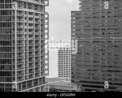 Eine Schwarz-Weiß-Aufnahme der Innenstadt von Miami in der Morgendämmerung, die durch Hochhäuser auf das Wasser blickt Stockfoto