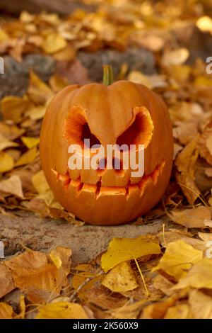 Geschnitzter halloween Jack Kürbis im Herbstlaub auf Baumwurzeln im Wald oder Park Stockfoto