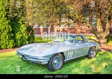 PLYMOUTH, MI/USA - 30. JULI 2017: Ein 1966 Chevrolet Corvette-Fahrzeug auf der Automobilmesse Concours d'Elegance of America im The Inn at St. John's. Stockfoto