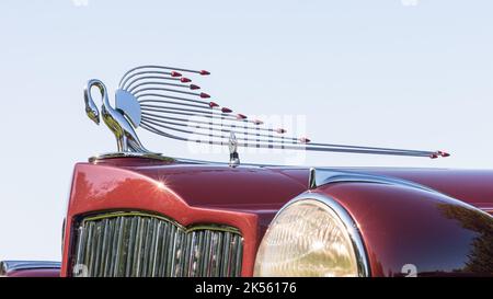 PLYMOUTH, MI/USA - 30. JULI 2017: Nahaufnahme einer Haube von 1938 Packard 1604 auf der Automobilausstellung Concours d'Elegance of America. Stockfoto