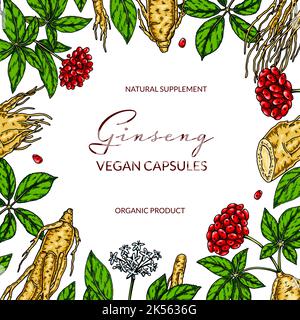 Ginseng farbenfrohes quadratisches Design. Handgezeichnete botanische Vektorgrafik im Skizzenstil. Kann für Verpackung, Etikett, Abzeichen verwendet werden. Kräutermedizin b Stock Vektor