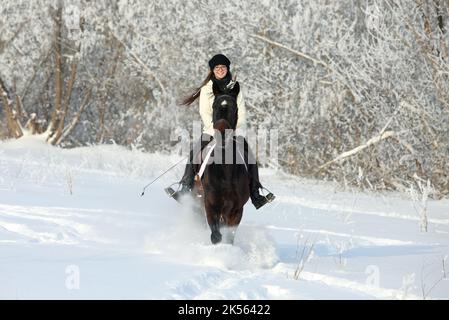 Pferdemädchen geht zu Pferd mit Vollblut-Dressurpferd im Winterwald Stockfoto