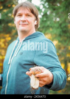 Zufriedener junger Mann, der einen gefundenen Steinpilz in den Händen hält. Der Pilzsammler hält einen cep-Pilz. Der Mensch sammelt Pilze im Wald. Stockfoto