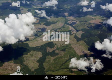 Eine Luftaufnahme, die einen klaren Holzeinschlag und die Entwaldung des alten Wachstums im St. Joe National Forest im Nordwesten von Idaho, USA, zeigt. Stockfoto