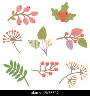 Set aus bunten Herbstblättern und Beeren. Isoliert auf weißem Hintergrund. Einfache Cartoon flachen Stil. vektor-Illustration Stock Vektor