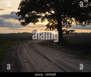 Eine Landstraße durch gepflügte Felder mit einer großen Baumsilhouette und fernem Sonnenuntergang Stockfoto