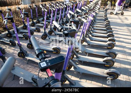 Sankt Petersburg, Russland - 04.01.2022: Elektroroller viel zu mieten, teilen. Riesige Parkplätze von Elektro-Roller auf dem Bürgersteig. Stockfoto