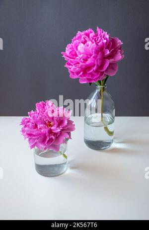 Komposition aus schönen rosa Pfingstrosen in durchsichtigen Glasflaschen auf weißem Tischhintergrund. Stockfoto