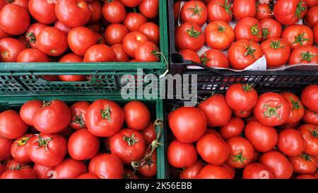 Tomaten auf der Theke auf dem Nachbarschaftsmarkt. Stockfoto