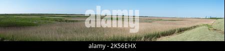 Extra großer Panoramablick über die landwirtschaftlichen Felder im Naturschutzgebiet des ertrunkenen Landes Saeftinghe, Belgien Stockfoto