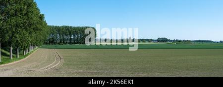 Extra großer Panoramablick über die landwirtschaftlichen Felder im Naturschutzgebiet des ertrunkenen Landes Saeftinghe, Belgien Stockfoto