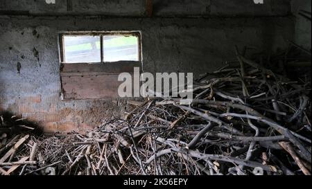 Holz zu verbrennen. Holzschuppen. Stockfoto