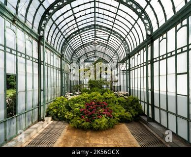 Laeken, Region Brüssel-Hauptstadt - Belgien - 06 06 2021 Innenarchitektur und Anbau von Pflanzen in den königlichen Gewächshäusern Stockfoto